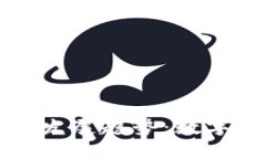 区块链财富游戏的未来发展趋势：数字资产如何