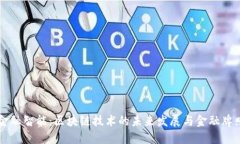 新加坡金融智能：区块链技术的未来发展与金融