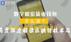  金融专家马霞深度解读区块链技术及其应用前景