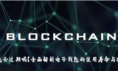 TP钱包会过期吗？全面解析电子钱包的使用寿命与安全性