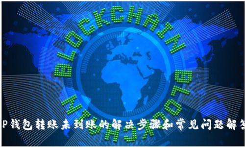 TP钱包转账未到账的解决步骤和常见问题解答