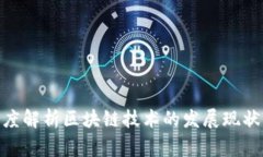 金融专家深度解析区块链技术的发展现状与未来