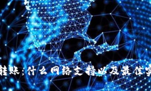 TP钱包转账：什么网络支持以及最佳实践指南