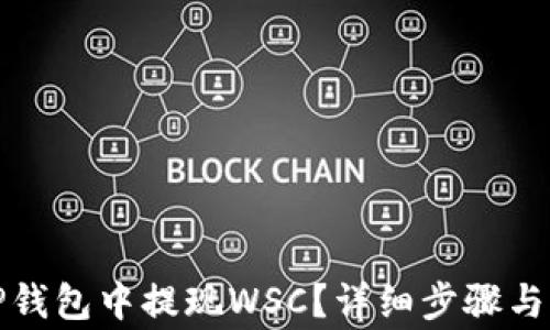 
如何在TP钱包中提现WSC？详细步骤与注意事项