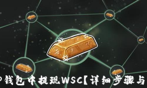 
如何在TP钱包中提现WSC？详细步骤与注意事项